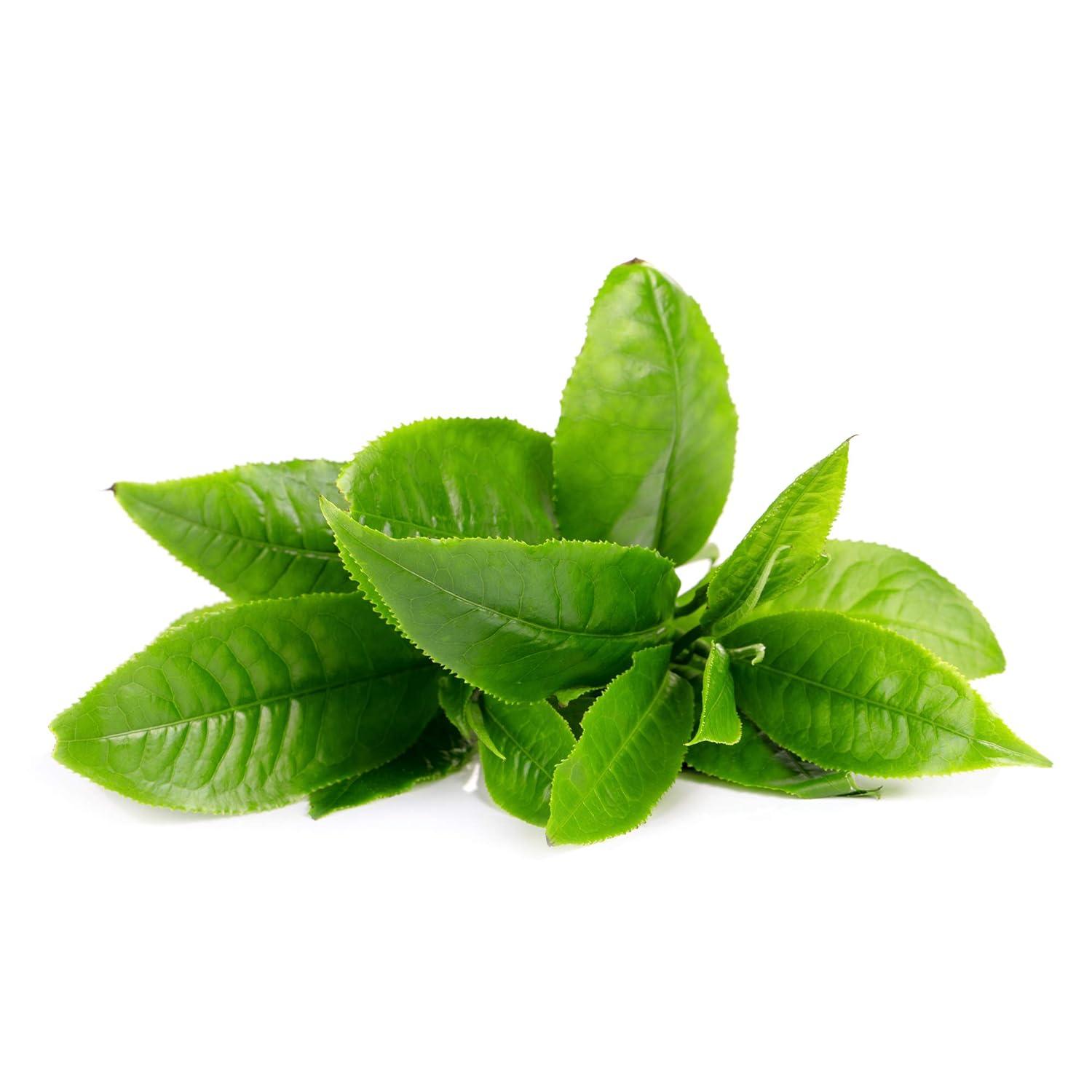 imageFOREO Make My Day UFO Activated Facial Mask for Dry Dehydrated Skin 7 pack Moisturizing ampamp Antipollution Hyaluronic Acid ampamp Red Algae Clean Formula Crueltyfree Compatible with all UFO devicesGreen Tea